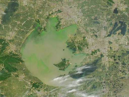 MODIS true color satellite image of Lake Taihu in 2007